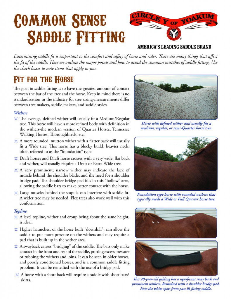 CircleY-saddle-fitting-2013_Page_1