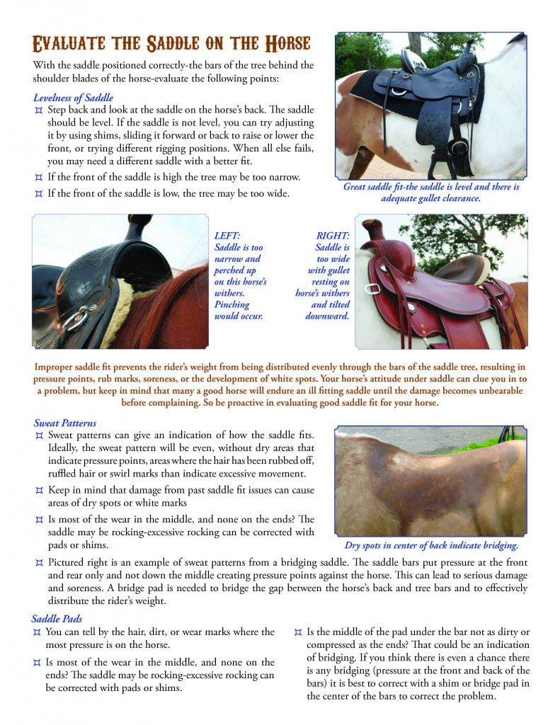 CircleY-saddle-fitting-2013_Page_3